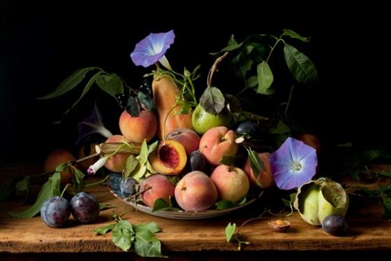 Paulette Tavormina, Peaches and Morning Glories, After G.G ., 2010, Courtesy Robert Mann Gallery, New York .