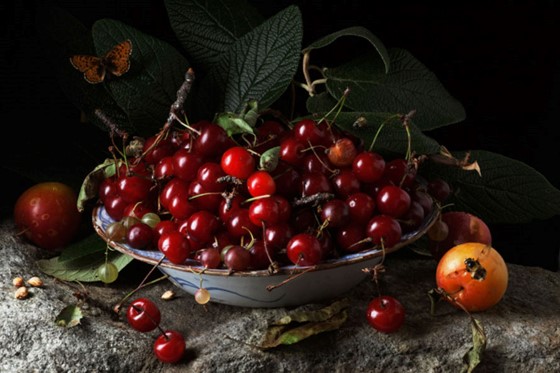 Paulette Tavormina, Red Cherries and Plums, After G.G ., 2011, Courtesy Robert Mann Gallery, New York .